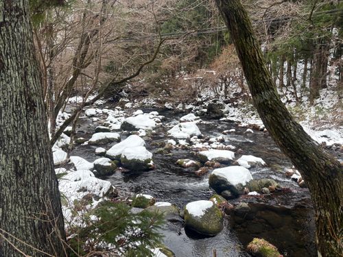 初るぽぽの森〜雪中〜 るぽぽの森 （るぽぽかわさき＆笹谷オートキャンプ場） ソロキャンプ 区画サイト オートサイト ぱぱちょさんのキャンプブログ CAMPiii（キャンピー） -キャンプ専用SNS キャンプのすべてがここに集まる-