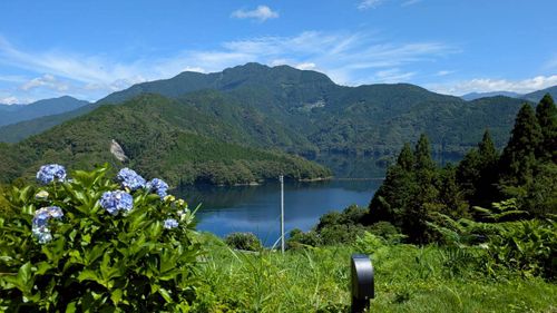 海を超え、ケルティの民となる⛺️〜四国遠征キャンプ1泊目〜 さめうらテントパーク ソロキャンプ グループキャンプ オートサイト ヒゲキャンさんのキャンプブログ CAMPiii（キャンピー） -キャンプ専用SNS キャンプのすべてがここに集まる-