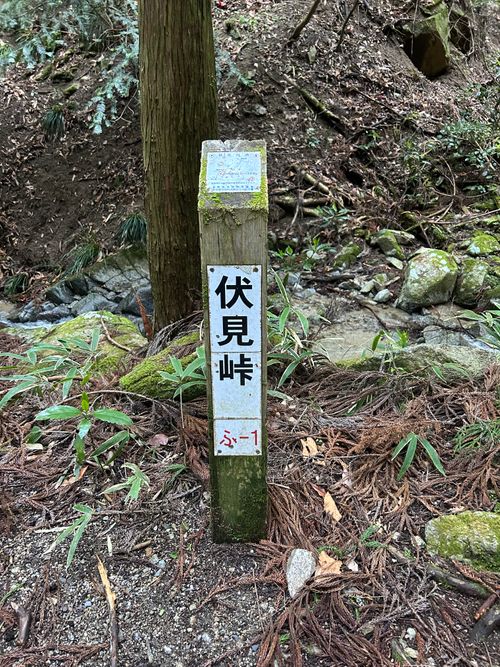 登山デビュー(テント泊付き) 金剛山 ソロキャンプ 区画サイト △kuuga△さんのキャンプブログ CAMPiii（キャンピー） -キャンプ専用SNS キャンプのすべてがここに集まる-