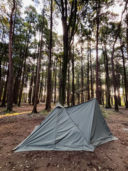 🌲森林サイトで癒される &GREEN龍ケ崎キャンプ場 ソロキャンプ フリーサイト オートサイト ARUGOさんのキャンプブログ CAMPiii(キャンピー) -キャンプ専用SNS キャンプのすべてがここに集まる-