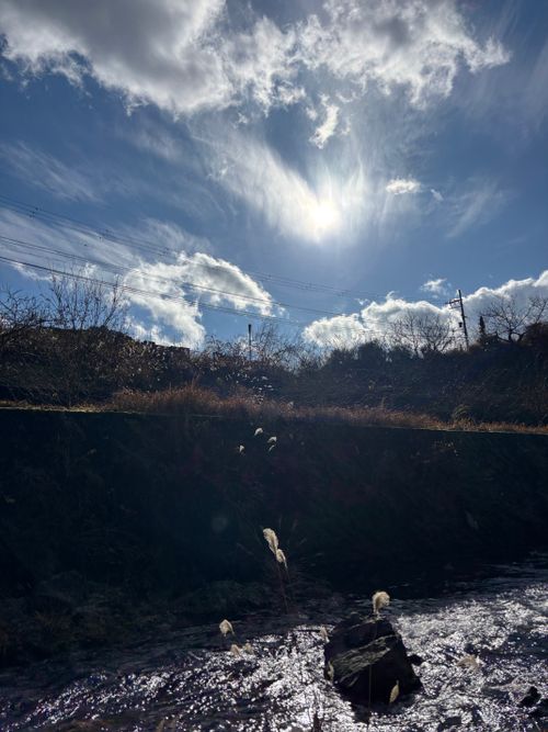 今年もお世話になりました！来年もたくさん遊んでくれぶーん！！ KAWAI VILLAGE CAMP ソロキャンプ 区画サイト とのさんのキャンプブログ CAMPiii（キャンピー） -キャンプ専用SNS キャンプのすべてがここに集まる-