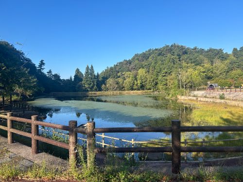 キャンプ2泊目✨母子キャンプ🏕️ 宇根山家族旅行村 はやぷささんのキャンプブログ CAMPiii（キャンピー） -キャンプ専用SNS キャンプのすべてがここに集まる-