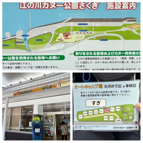 2026年11回目、恒例の川遊びキャン🛶 江の川カヌー公園さくぎ ファミリーキャンプ 区画サイト オートサイト わいげさんのキャンプブログ CAMPiii（キャンピー） -キャンプ専用SNS キャンプのすべてがここに集まる-