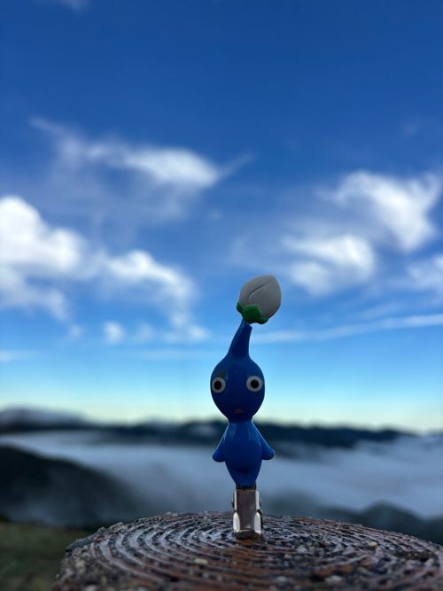 お尻がロケット🚀宇宙旅行は一晩にしてならず 姫鶴平キャンプ場 グループキャンプ とのさんのキャンプブログ CAMPiii（キャンピー） -キャンプ専用SNS キャンプのすべてがここに集まる-