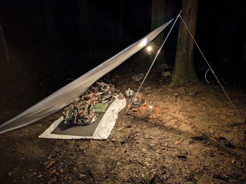 間近で見た熊はヤバかった。💦 大阪市 ソロキャンプ フリーサイト ぞのさんさんのキャンプブログ CAMPiii(キャンピー) -キャンプ専用SNS キャンプのすべてがここに集まる-