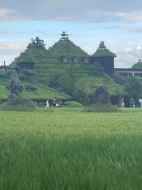 滋賀県の用事のため途中の新潟県で「ついでのキャンプ」 笹ヶ峰キャンプ場 ファミリーキャンプ 区画サイト ロコCamp0828さんのキャンプブログ CAMPiii（キャンピー） -キャンプ専用SNS キャンプのすべてがここに集まる-