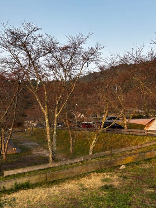 春休み、異動前キャンプ ゴリラフィールドとよのキャンプ場 GORILLA FIELD TOYONO グループキャンプ 区画サイト あやぴーさんのキャンプブログ CAMPiii（キャンピー） -キャンプ専用SNS キャンプのすべてがここに集まる-