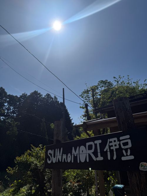 CAMPiii（キャンピー） ちはみなさんのキャンプブログ 初めてのGWソロキャンプ SUN no MORI 伊豆