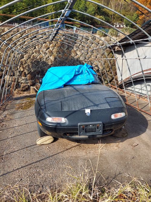 鹿岳辺りの紅葉🍁 One and…Nanmoku Another BASE ソロキャンプ 区画サイト ひろ16さんのキャンプブログ CAMPiii（キャンピー） -キャンプ専用SNS キャンプのすべてがここに集まる-