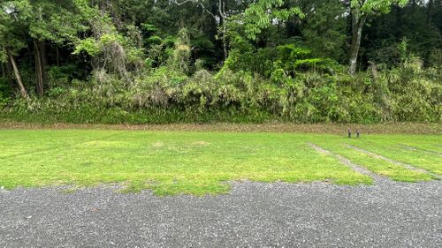 都城キャンプDay2 スノーピーク都城キャンプ場 ファミリーキャンプ 区画サイト オートサイト フォレキャンさんのキャンプブログ CAMPiii（キャンピー） -キャンプ専用SNS キャンプのすべてがここに集まる-