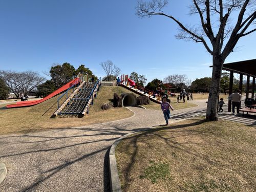 久しぶりのキャンプは強風で恐怖すぎたッ(T ^ T) RECAMP 養老（キャンプ＆ロッジ） ファミリーキャンプ オートサイト まつけんさんのキャンプブログ CAMPiii（キャンピー） -キャンプ専用SNS キャンプのすべてがここに集まる-