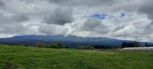 初とまとっぱら🍅 富士高原トマトフィールド ソロキャンプ フリーサイト 夢見るクマさんのキャンプブログ CAMPiii（キャンピー） -キャンプ専用SNS キャンプのすべてがここに集まる-