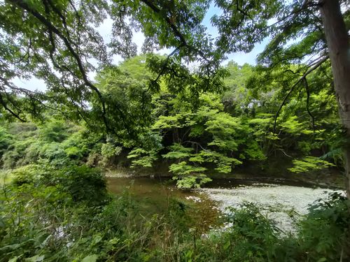 ５月キャンプ⛺️スタート😁 月川荘キャンプ場 林間サイト ソロキャンプ フリーサイト ぼっちオヤジさんのキャンプブログ CAMPiii（キャンピー） -キャンプ専用SNS キャンプのすべてがここに集まる-