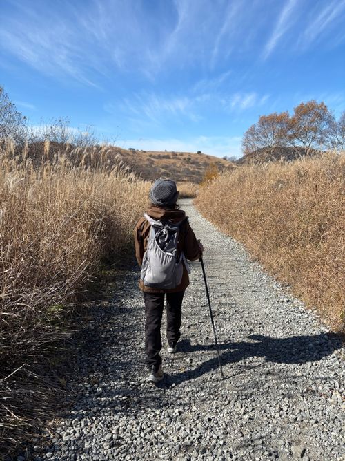 標高1500m天空のキャンプ場✩.*˚からの思い出の霧ヶ峰でフラット登山🚶🏽‍♂️🚶‍♀️ CAMP SKY FIELD-車山オートキャンプ場 区画サイト Jimko☆さんのキャンプブログ CAMPiii（キャンピー） -キャンプ専用SNS キャンプのすべてがここに集まる-