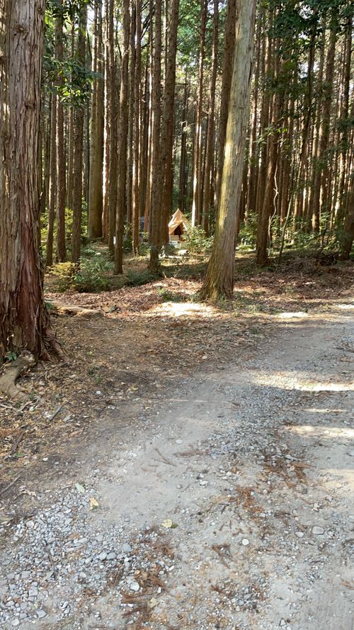 次の日は多分雨かな~ 石岡市 ソロキャンプ フリーサイト おぐらーさんのキャンプブログ CAMPiii（キャンピー） -キャンプ専用SNS キャンプのすべてがここに集まる-