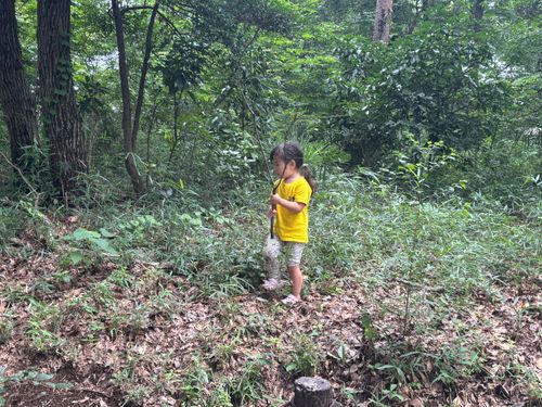 ８月キャンプ２（父娘初）⛺️２日目/２泊 智光山公園 キャンプ場 ファミリーキャンプ オートサイト boorishcamperさんのキャンプブログ CAMPiii（キャンピー） -キャンプ専用SNS キャンプのすべてがここに集まる-