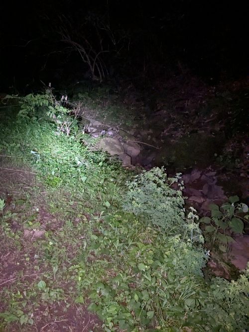 完ソロでゆっくり 高原キャンプ場 樹庭夢 ソロキャンプ 区画サイト 3838Outdoorさんのキャンプブログ CAMPiii(キャンピー) -キャンプ専用SNS キャンプのすべてがここに集まる-