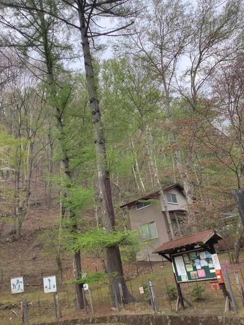 Vol.115 26/NO.05 今年も早速再開初日にお肉焼き焼きに行く‼️ 笛吹小屋キャンプ場 ソロキャンプ 区画サイト 🔥焚き火🔥さんのキャンプブログ CAMPiii（キャンピー） -キャンプ専用SNS キャンプのすべてがここに集まる-