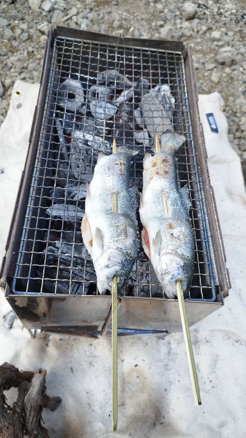 富士五湖へ 西湖 グループキャンプ フリーサイト オートサイト ひつじさんのキャンプブログ CAMPiii(キャンピー) -キャンプ専用SNS キャンプのすべてがここに集まる-