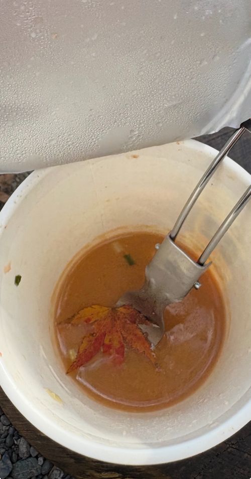 初軍幕début🪖 徳島県 ソロキャンプ フリーサイト camping roll♪さんのキャンプブログ CAMPiii（キャンピー） -キャンプ専用SNS キャンプのすべてがここに集まる-