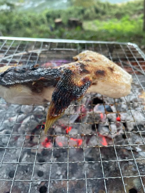 場違い感のあるキャンプ フォレストサンズ長瀞 ファミリーキャンプ フリーサイト もるがんさんのキャンプブログ CAMPiii（キャンピー） -キャンプ専用SNS キャンプのすべてがここに集まる-