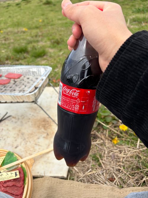 老人2人とピクニック 湖岸緑地 志那1 ファミリーキャンプ フリーサイト 美味しいご飯が食べたい！！さんのキャンプブログ CAMPiii（キャンピー） -キャンプ専用SNS キャンプのすべてがここに集まる-