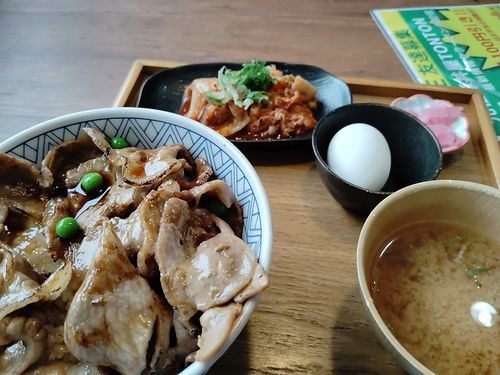 晴れた✨ 日光・まなかの森 キャンプ&スパリゾート ソロキャンプ 区画サイト しずさんのキャンプブログ CAMPiii(キャンピー) -キャンプ専用SNS キャンプのすべてがここに集まる-