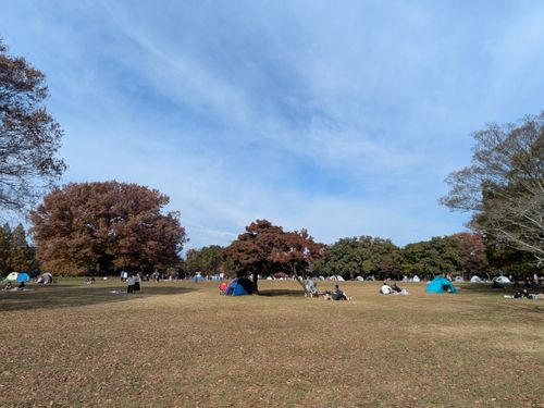 サクッとデイキャン。 庄内緑地 ソロキャンプ フリーサイト ぞのさんさんのキャンプブログ CAMPiii（キャンピー） -キャンプ専用SNS キャンプのすべてがここに集まる-