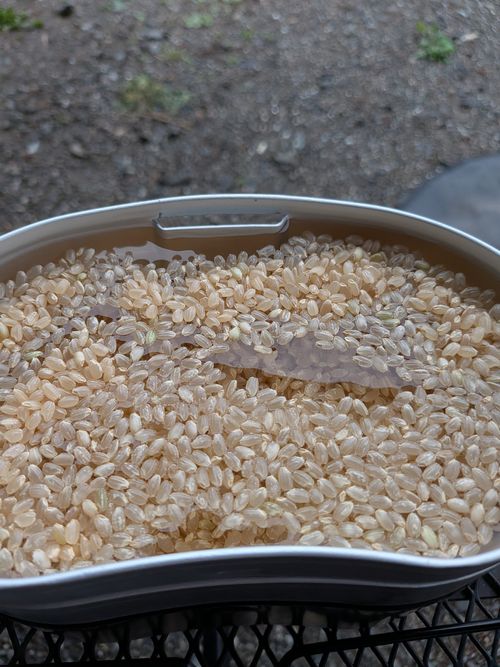 Genまい ともえ川Park ソロキャンプ 区画サイト オートサイト IZUIZUさんのキャンプブログ CAMPiii（キャンピー） -キャンプ専用SNS キャンプのすべてがここに集まる-