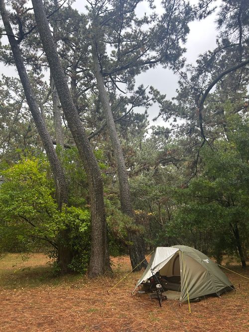 雨男。本当に今年最後キャンプ。 美浜町煙樹海岸キャンプ場 ソロキャンプ フリーサイト △kuuga△さんのキャンプブログ CAMPiii（キャンピー） -キャンプ専用SNS キャンプのすべてがここに集まる-