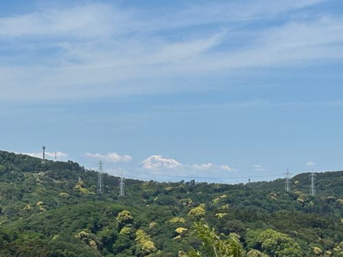 前日宅呑み中🍺思いたっての低山ハイク🥾 大楠山 ソロキャンプ Genさんのキャンプブログ CAMPiii（キャンピー） -キャンプ専用SNS キャンプのすべてがここに集まる-