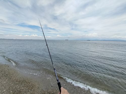 また釣りキャン 浜オートキャンプ場 ソロキャンプ 区画サイト たかたかぽんたさんのキャンプブログ CAMPiii（キャンピー） -キャンプ専用SNS キャンプのすべてがここに集まる-