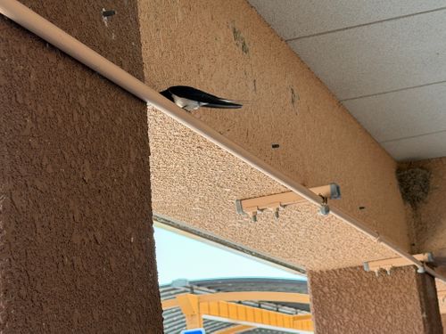 近場でキャンプ かいづか いぶき温泉 ファミリーキャンプ 区画サイト yoji@campさんのキャンプブログ CAMPiii（キャンピー） -キャンプ専用SNS キャンプのすべてがここに集まる-