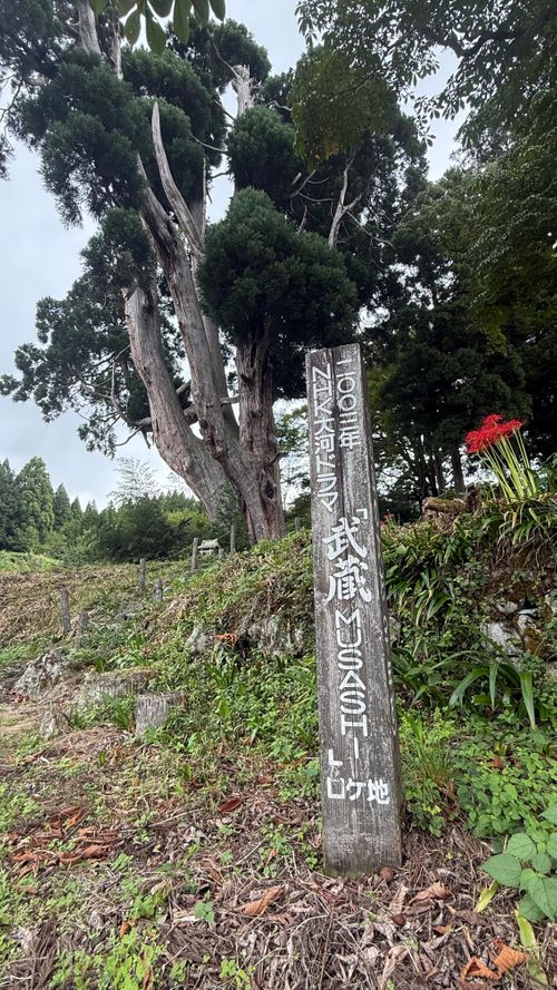 半年ぶりのキャンプ予習🏕️笑笑 のとろ原キャンプ場 ソロキャンプ 区画サイト まーくんさんのキャンプブログ CAMPiii（キャンピー） -キャンプ専用SNS キャンプのすべてがここに集まる-