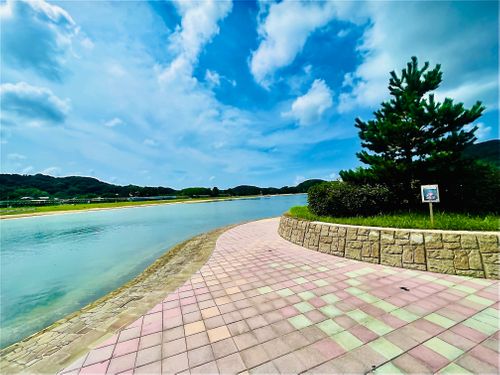 初めてのキャンプ場?でおじうさ+○○キャン△ in 阿川ほうせんぐり海浜公園 〜 CAMP NO.149 阿川ほうせんぐり海浜公園 ソロキャンプ ファミリーキャンプ フリーサイト おじキャン△さんのキャンプブログ CAMPiii(キャンピー) -キャンプ専用SNS キャンプのすべてがここに集まる-
