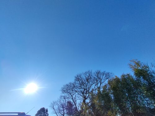 2025年キャンプ納めは浜キャン 浜オートキャンプ場 ソロキャンプ グループキャンプ 区画サイト オートサイト たかたかぽんたさんのキャンプブログ CAMPiii（キャンピー） -キャンプ専用SNS キャンプのすべてがここに集まる-