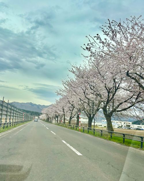 秋田＆岩手を目指せ〜🌀🌀🌀🌀🌀 キャンプグランド・ベアーベル Oniyomeさんのキャンプブログ CAMPiii（キャンピー） -キャンプ専用SNS キャンプのすべてがここに集まる-