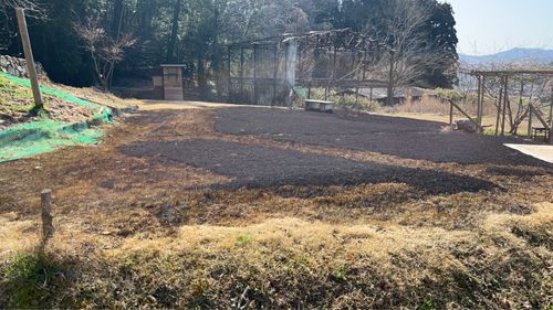 芝焼き時々トイレ作成 ソロキャンプ フリーサイト かつ丼さんのキャンプブログ CAMPiii（キャンピー） -キャンプ専用SNS キャンプのすべてがここに集まる-