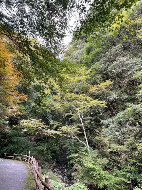 冬キャンプらしくなってきた。 三野農村ふれあい広場 ソロキャンプ グループキャンプ フリーサイト ゆうさんさんのキャンプブログ CAMPiii（キャンピー） -キャンプ専用SNS キャンプのすべてがここに集まる-