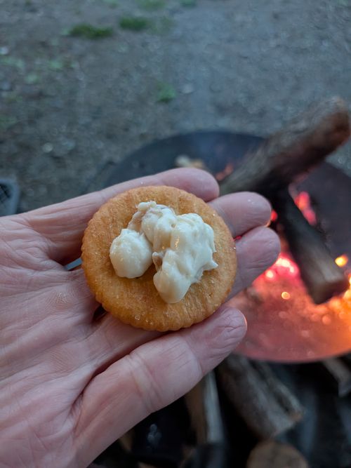 Genまい ともえ川Park ソロキャンプ 区画サイト オートサイト IZUIZUさんのキャンプブログ CAMPiii（キャンピー） -キャンプ専用SNS キャンプのすべてがここに集まる-