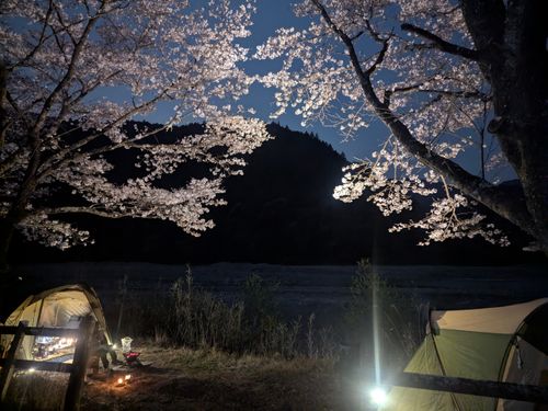 お花見キャンプでリフレッシュタイム♪ 小川の里オートキャンプ場 ソロキャンプ グループキャンプ フリーサイト オートサイト ちあさんのキャンプブログ CAMPiii（キャンピー） -キャンプ専用SNS キャンプのすべてがここに集まる-