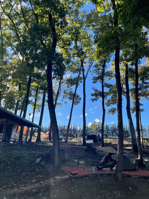 場違い感のあるキャンプ フォレストサンズ長瀞 ファミリーキャンプ フリーサイト もるがんさんのキャンプブログ CAMPiii（キャンピー） -キャンプ専用SNS キャンプのすべてがここに集まる-