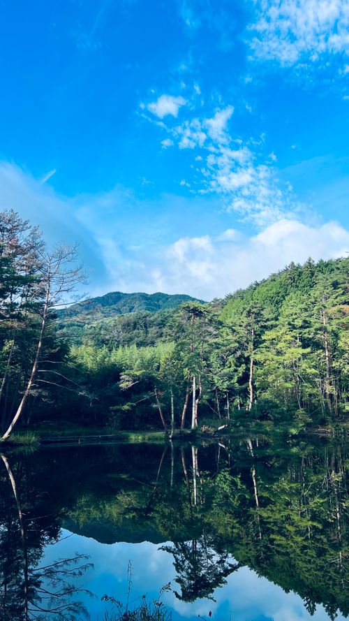 小さい秋見つけた おおぐて湖キャンプ場 ソロキャンプ 区画サイト KABUTOさんのキャンプブログ CAMPiii(キャンピー) -キャンプ専用SNS キャンプのすべてがここに集まる-