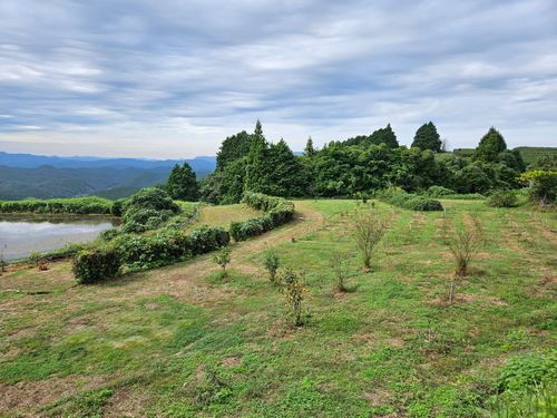 雲海キャンプ2025③は、長崎でグルキャン 野々川グランビューパーク グループキャンプ 区画サイト オートサイト 三代目とっしぃさんのキャンプブログ CAMPiii(キャンピー) -キャンプ専用SNS キャンプのすべてがここに集まる-