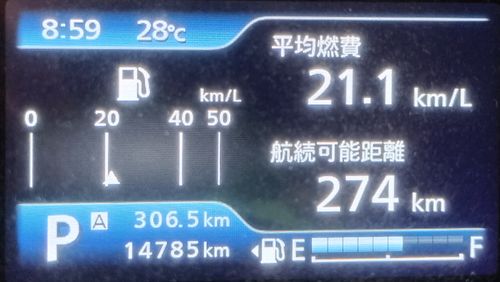 淡水浴 美濃橋 河川敷 ソロキャンプ グループキャンプ フリーサイト たかぽんたさんのキャンプブログ CAMPiii（キャンピー） -キャンプ専用SNS キャンプのすべてがここに集まる-