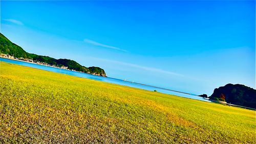 夏キャンプもそろそろ終わり？お盆明けのまた〜りおじ🐰キャン△ in 阿川ほうせんぐり海浜公園 〜 CAMP NO.208 阿川ほうせんぐり海浜公園 ソロキャンプ ファミリーキャンプ フリーサイト おじキャン△さんのキャンプブログ CAMPiii（キャンピー） -キャンプ専用SNS キャンプのすべてがここに集まる-