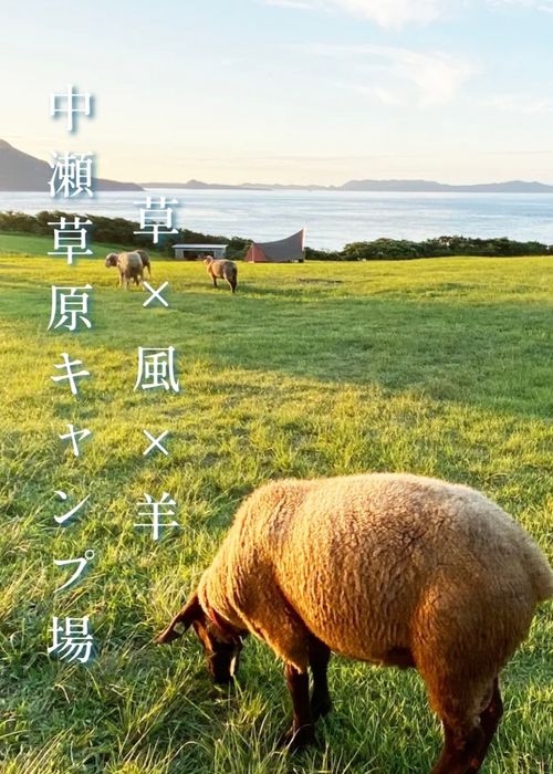 お初の長崎県⛺️絶景を求めおじうさキャン△ in 中瀬草原キャンプ場 〜 CAMP NO.162 中瀬草原キャンプ場 ソロキャンプ ファミリーキャンプ フリーサイト おじキャン△さんのキャンプブログ CAMPiii（キャンピー） -キャンプ専用SNS キャンプのすべてがここに集まる-