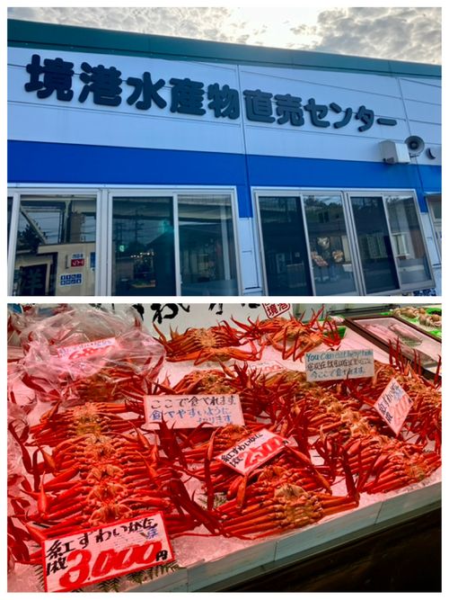 鳥取スゴッ! もう砂漠じゃん 行ったことないけどw 西のふもとっぱらMasumizu天空キャンプ場 ソロキャンプ フリーサイト けんじさんのキャンプブログ CAMPiii(キャンピー) -キャンプ専用SNS キャンプのすべてがここに集まる-