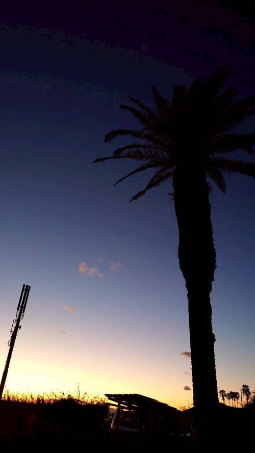 恒例の新春ファミキャン！ THE DOG DEPT GARDEN RESORT-安房白浜- ファミリーキャンプ グループキャンプ 区画サイト まーささんのキャンプブログ CAMPiii（キャンピー） -キャンプ専用SNS キャンプのすべてがここに集まる-