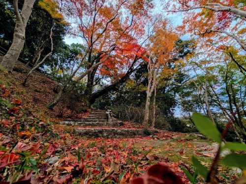 取れ高求めて三千里。 笠置キャンプ場 ソロキャンプ グループキャンプ フリーサイト ぞのさんさんのキャンプブログ CAMPiii（キャンピー） -キャンプ専用SNS キャンプのすべてがここに集まる-